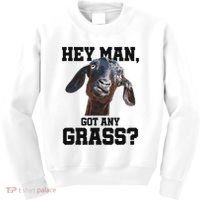 Funny Pun Goat Stuff And Farm Accesories Goat Kids Sweatshirt thumb 0