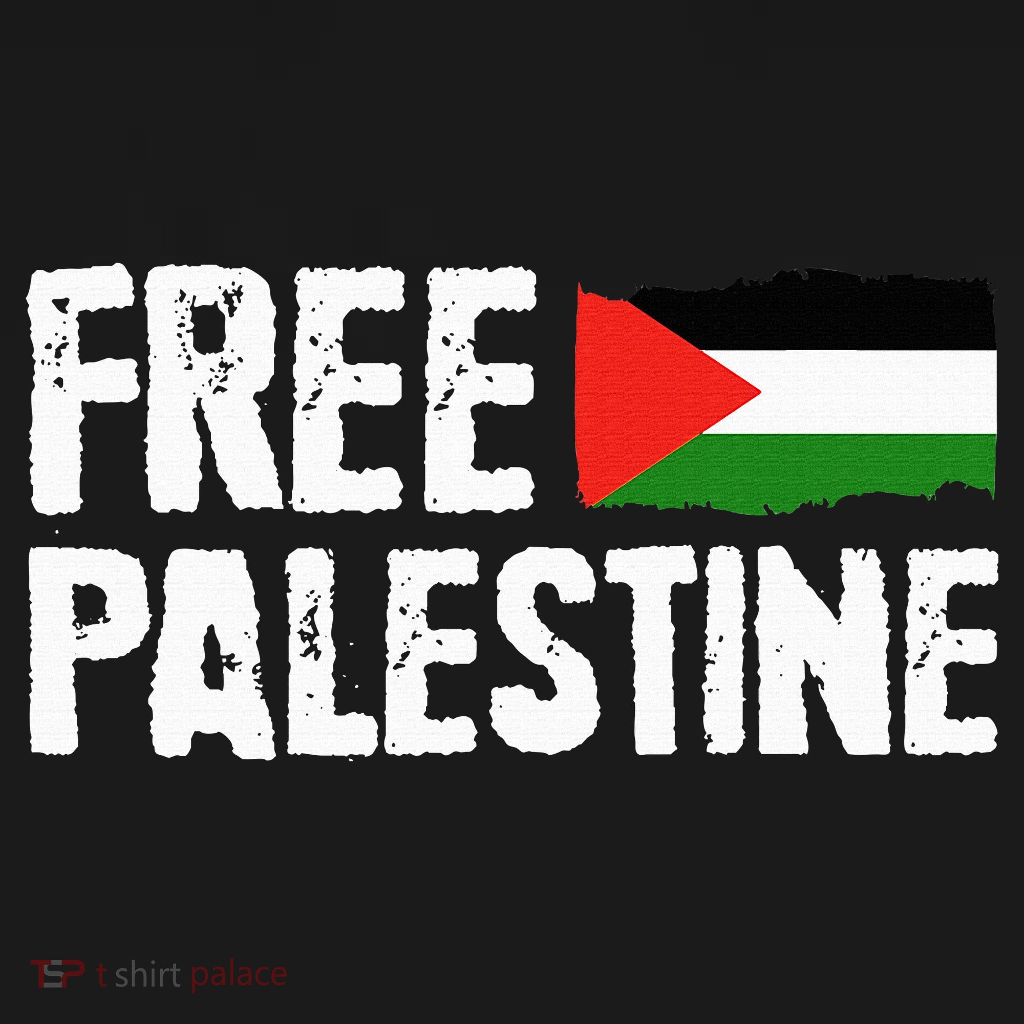 Free Palestine Gaza Flag Arabic Freedom for Palestinians Women's Hoodie