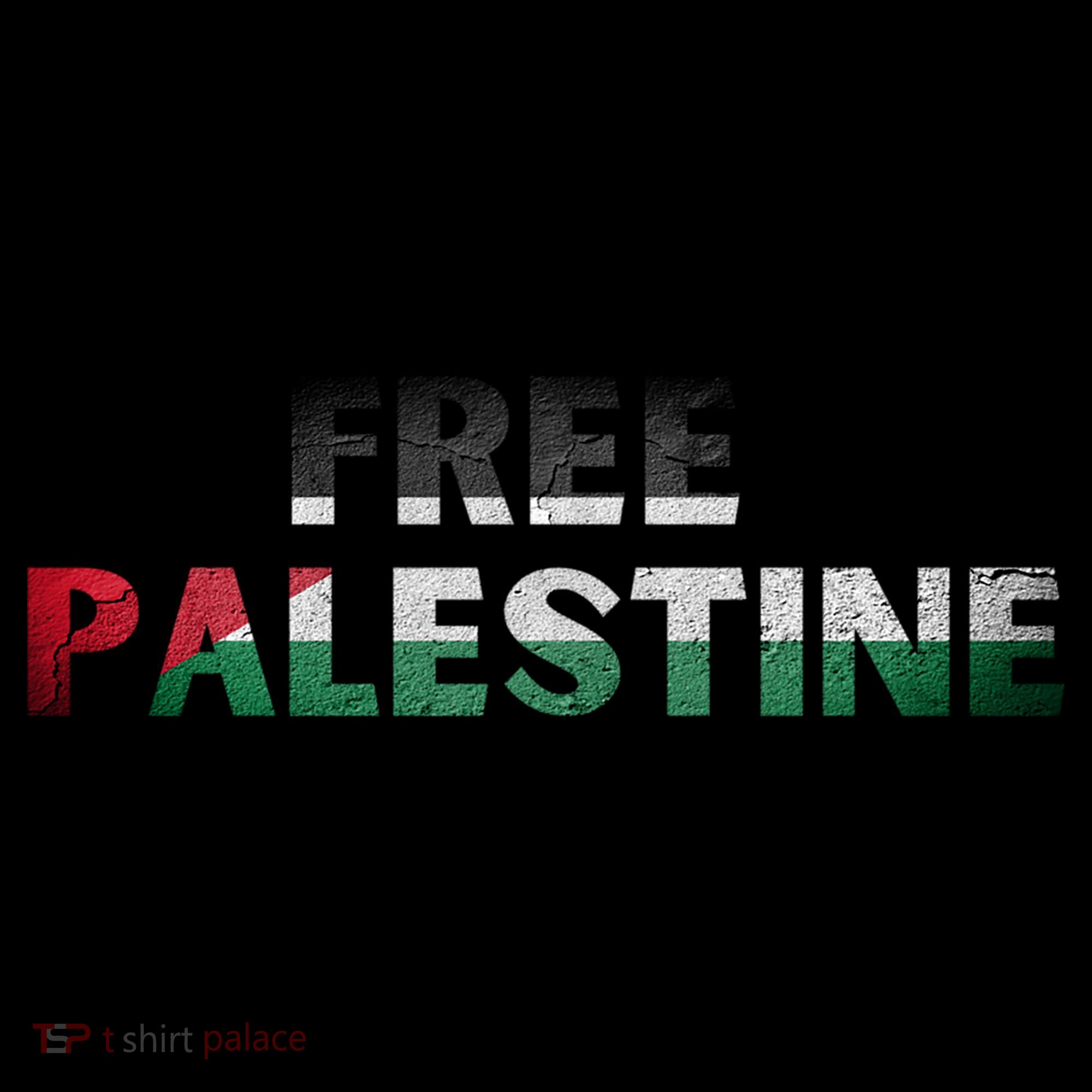 Free Palestine Gaza Flag Arabic Gift Women's Hoodie