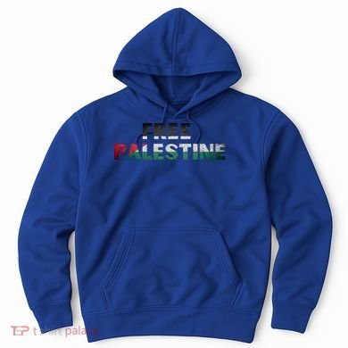 Free Palestine Gaza Flag Arabic Gift Hoodie