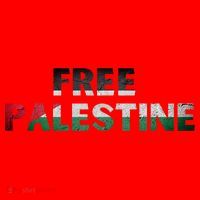Free Palestine Gaza Flag Arabic Gift Santa Hat thumb 1