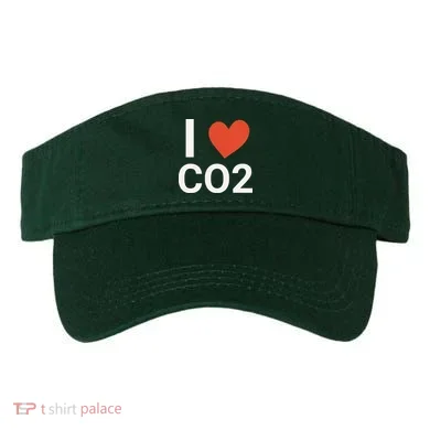 Visor