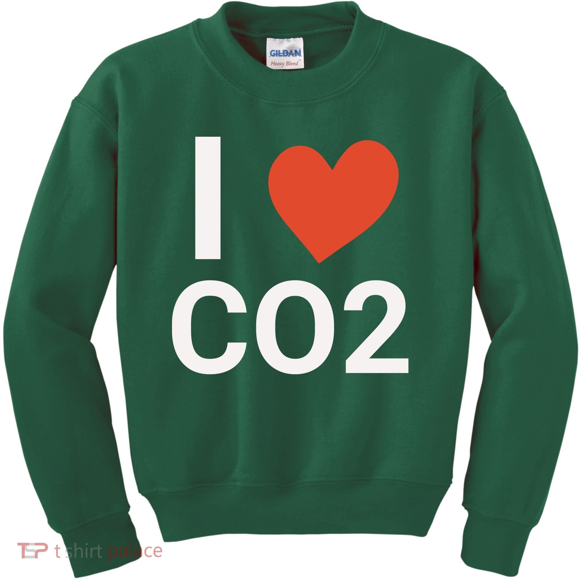 Funny Politically Incorrect Climate Hoax Kids Sweatshirt