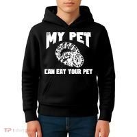 Funny Pet Love Ball Python Gift Funny Gift Snake Lovers Gift Kids Hoodie thumb 4