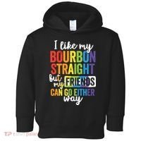 Funny Pride LGBT Ally Gift Bourbon Straight Friends Premium Toddler Hoodie thumb 0