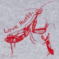 Funny Praying Mantis Retro Love Hurts Graphic Women's Sweatshirt thumb 2