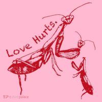 Funny Praying Mantis Retro Love Hurts Graphic Coaster thumb 2