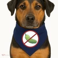 Fun Pickleball, No Pickle, Pickleball For Life USA-Made Doggie Bandana thumb 1