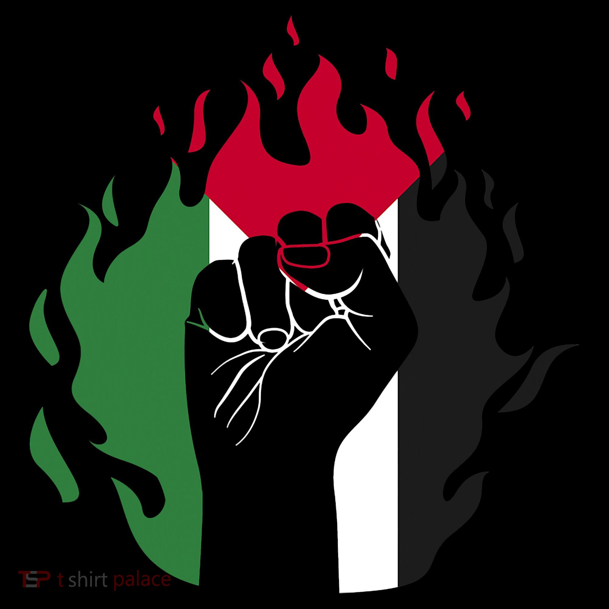 Free Palestine Palestine Flag Long Sleeve Shirt