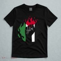 Free Palestine Palestine Flag T-Shirt thumb 5