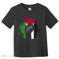 Free Palestine Palestine Flag Toddler T-Shirt thumb 0
