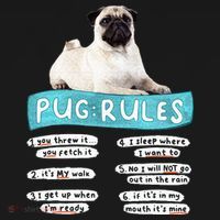 Funny Pug Pug Rules Pug Lover Pug Owner Polo thumb 3