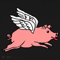 Flying Pig Poking Tongue Out Funny Gift Women's Hoodie thumb 2