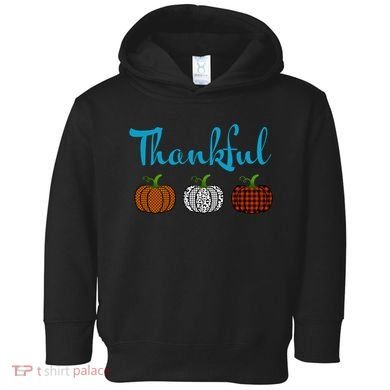Fall Plaid Pumpkin Thankful Women, Thanksgiving Be Blessed Toddler Hoodie