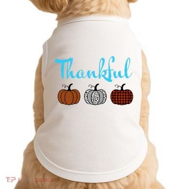 Fall Plaid Pumpkin Thankful Women, Thanksgiving Be Blessed Doggie Tank