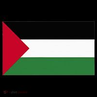 Free Palestine Palestine Flag Women's Hoodie thumb 2