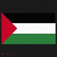 Free Palestine Palestine Flag Kids Sweatshirt thumb 2