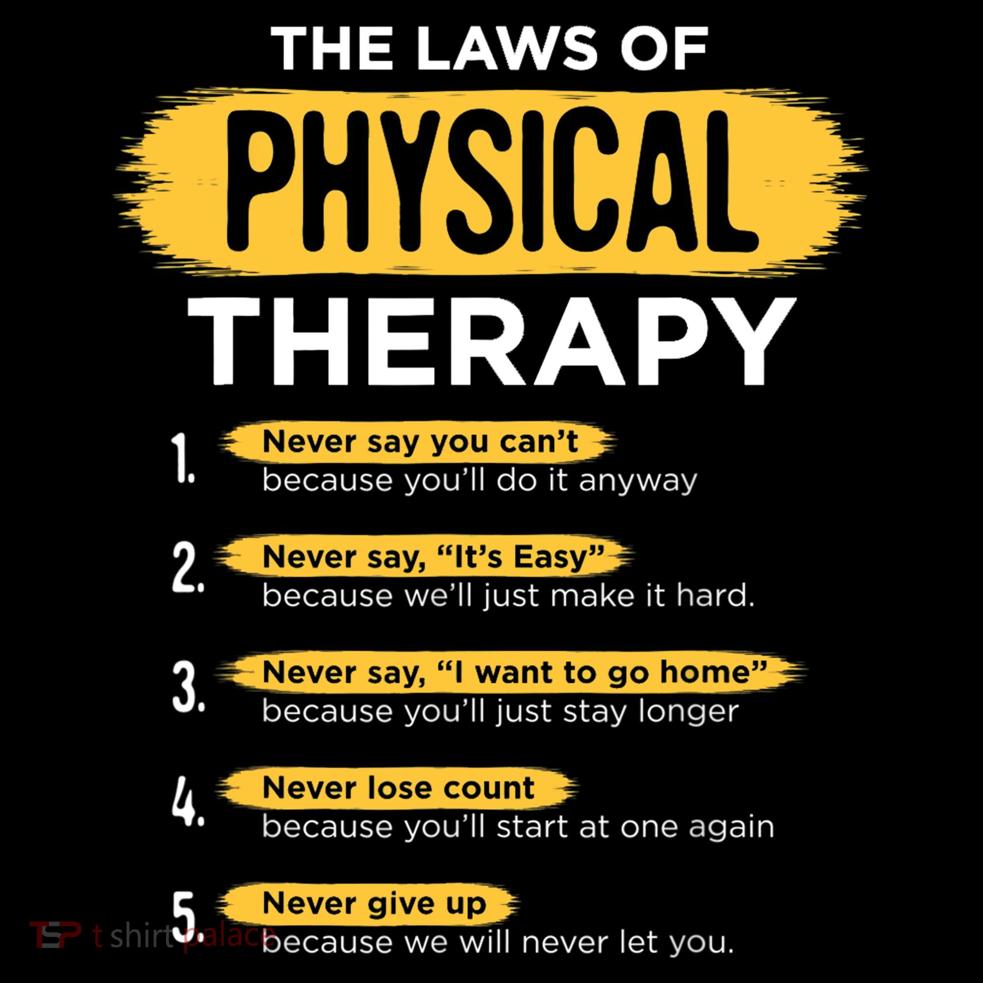 Funny PT Physical Therapy Gift Therapist Month TShirt Ornament