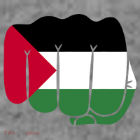 Free Palestine Palestine Flag Support Toddler Hoodie thumb 2