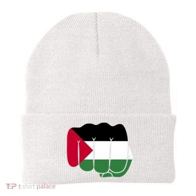 Free Palestine Palestine Flag Support Beanie