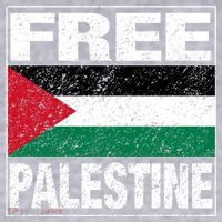 Free Palestine Palestine Flag I Love Palestine Gaza Meaningful Gift Women's Racerback Cropped Tank thumb 2