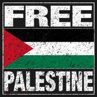 Free Palestine Palestine Flag I Love Palestine Gaza Meaningful Gift Women's Hoodie thumb 2