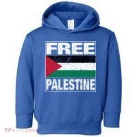 Free Palestine Palestine Flag I Love Palestine Gaza Meaningful Gift Toddler Hoodie thumb 0