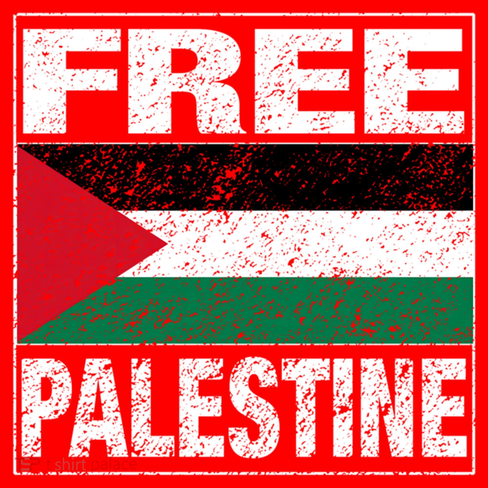 Free Palestine Palestine Flag I Love Palestine Gaza Meaningful Gift Santa Hat