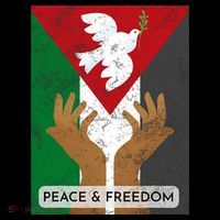 Free Palestine Peace & Freedom Support Palestine And Gaza Stripe Pom Pom Beanie thumb 2