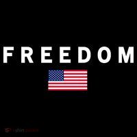 Freedom Pray Support American Values Patriotism Toddler Hoodie thumb 2