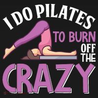 Funny Pilates Saying Pilates Trainer Contrology Instructor USA-Made Doggie Bandana thumb 2