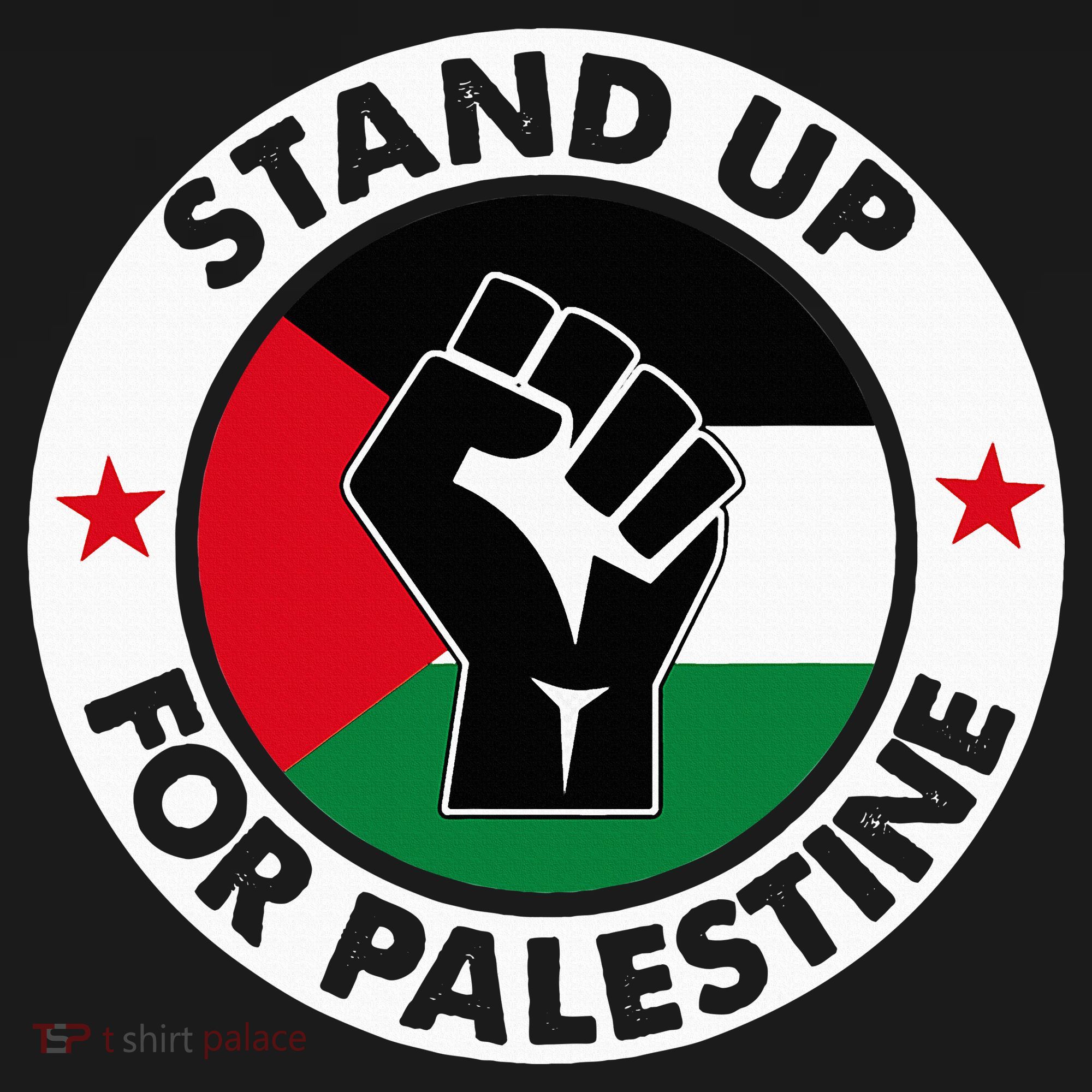 Free Palestine Stand up For Palestine Women's T-Shirt