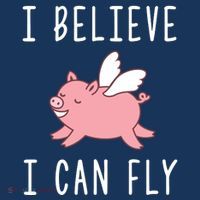 Flying Pig Shirts When Pigs Fly I Believe I Can Fly Women's T-Shirt thumb 6
