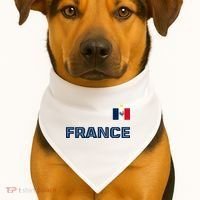 France Pride Soccer Team Flag USA-Made Doggie Bandana thumb 1