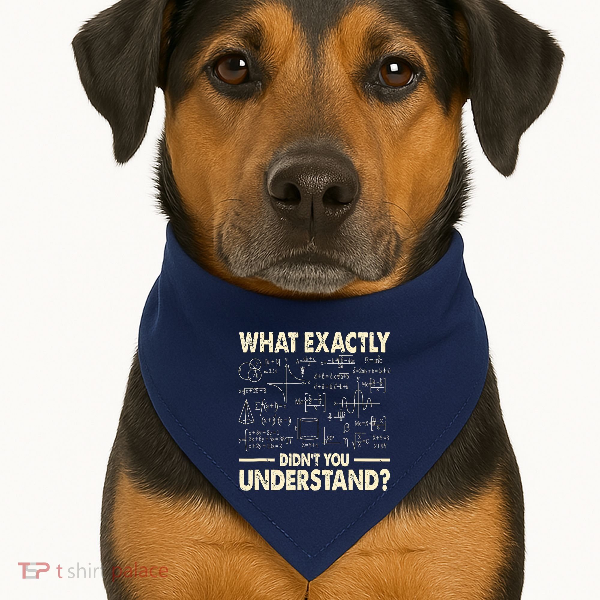 Funny Physicist Scienctist Nerd Geek Gift Physics USA-Made Doggie Bandana