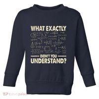 Funny Physicist Scienctist Nerd Geek Gift Physics Toddler Sweatshirt thumb 0