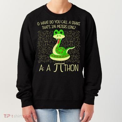 Funny Python Snake Pi Day Women's Sweatshirt