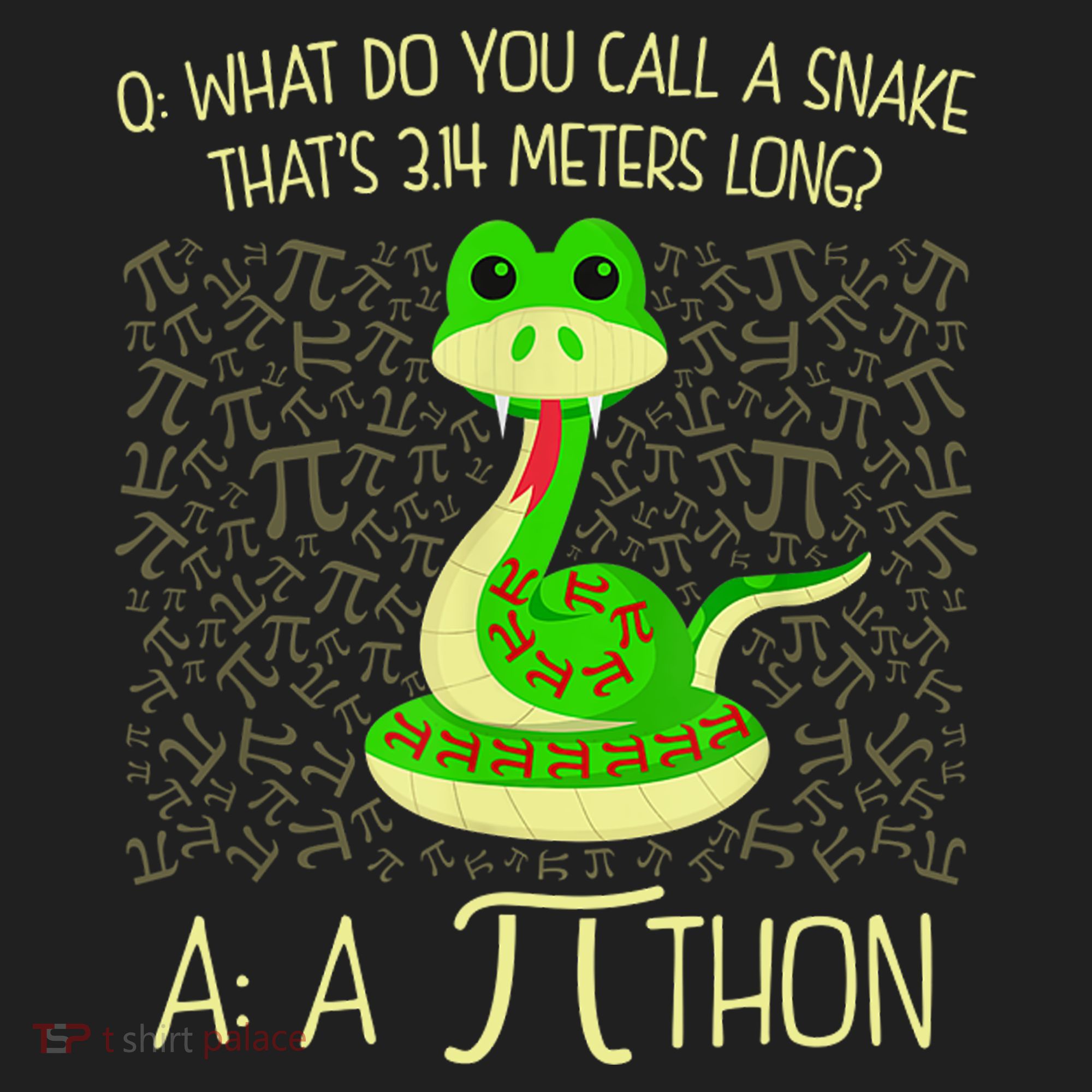 Funny Python Snake Pi Day Women's Sweatshirt