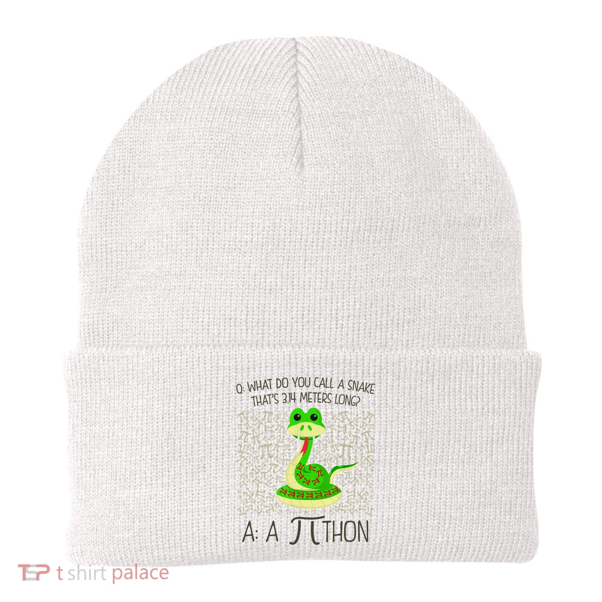 Funny Python Snake Pi Day Beanie