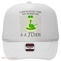 Funny Python Snake Pi Day Hat thumb 0