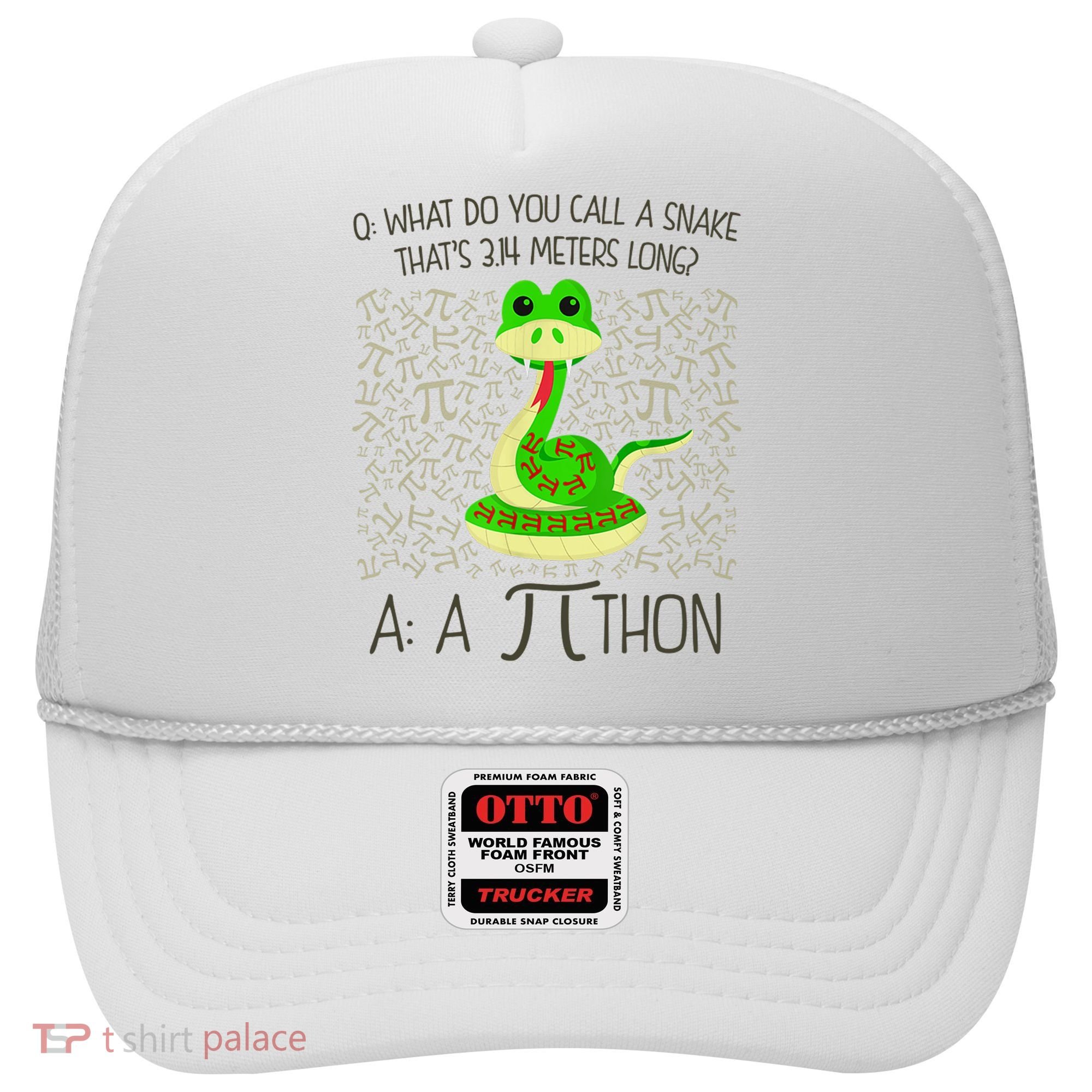 Funny Python Snake Pi Day Hat