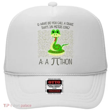 Funny Python Snake Pi Day Hat