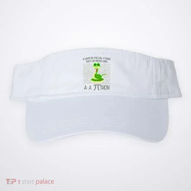 Visor