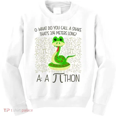 Funny Python Snake Pi Day Kids Sweatshirt