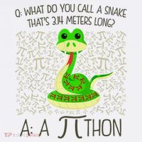 Funny Python Snake Pi Day Kids Sweatshirt thumb 2
