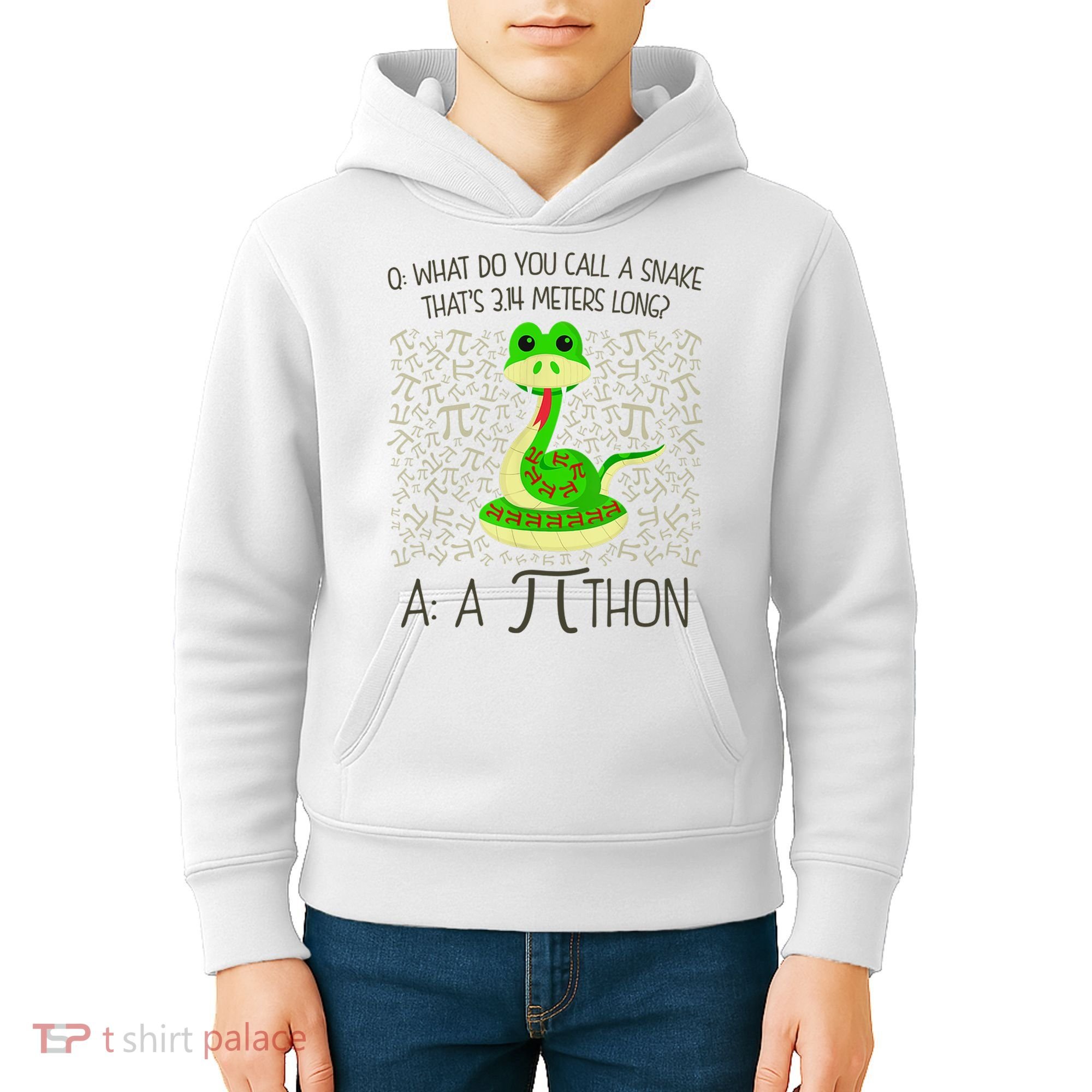 Funny Python Snake Pi Day Kids Hoodie