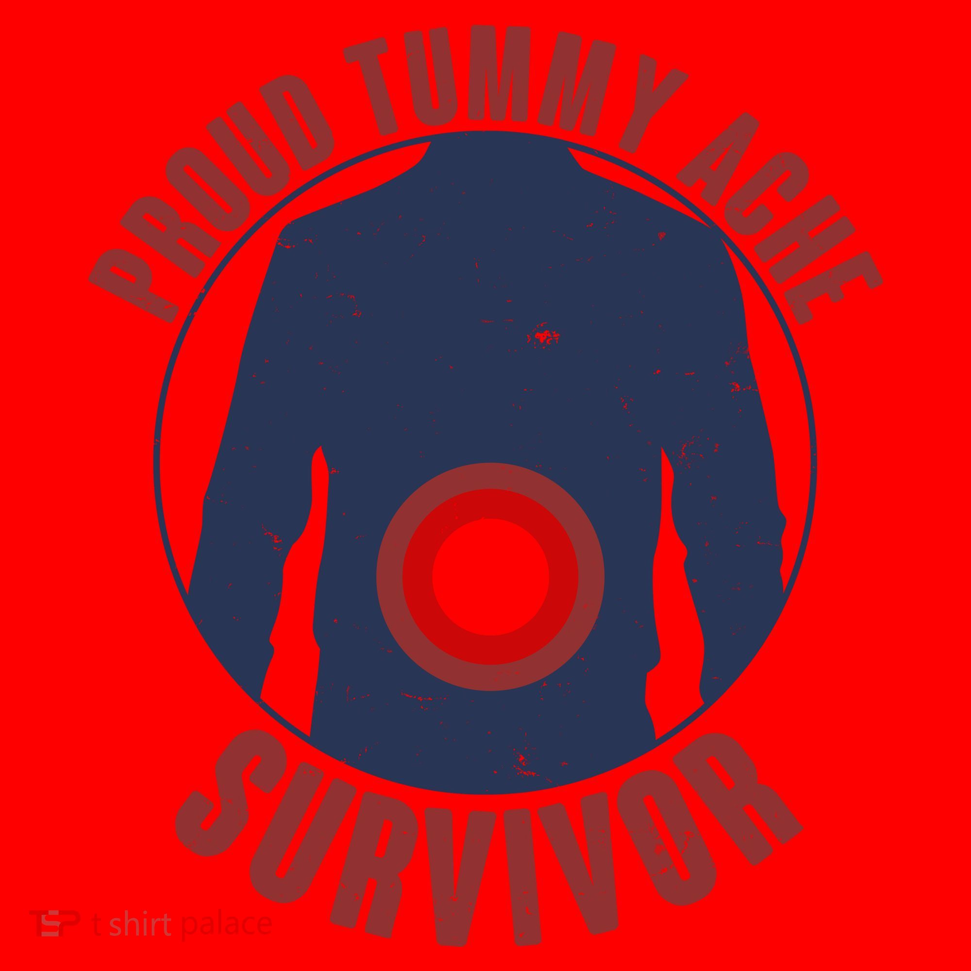 Funny Proud Tummy Ache Survivor Santa Hat