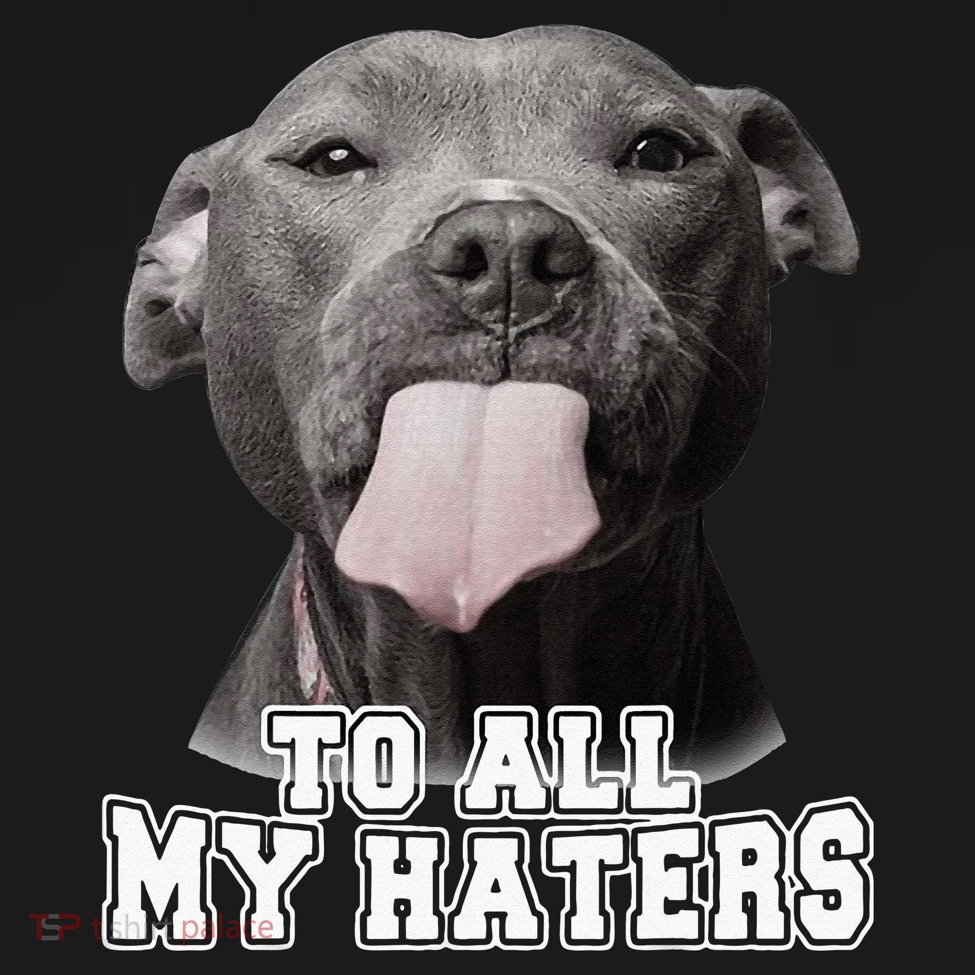 Funny Pitbull To All My Haters Pitbull Dog Lover Gift Ornament