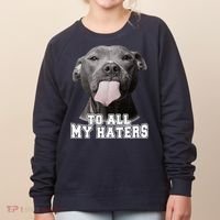 Funny Pitbull To All My Haters Pitbull Dog Lover Gift Women's Sweatshirt thumb 0