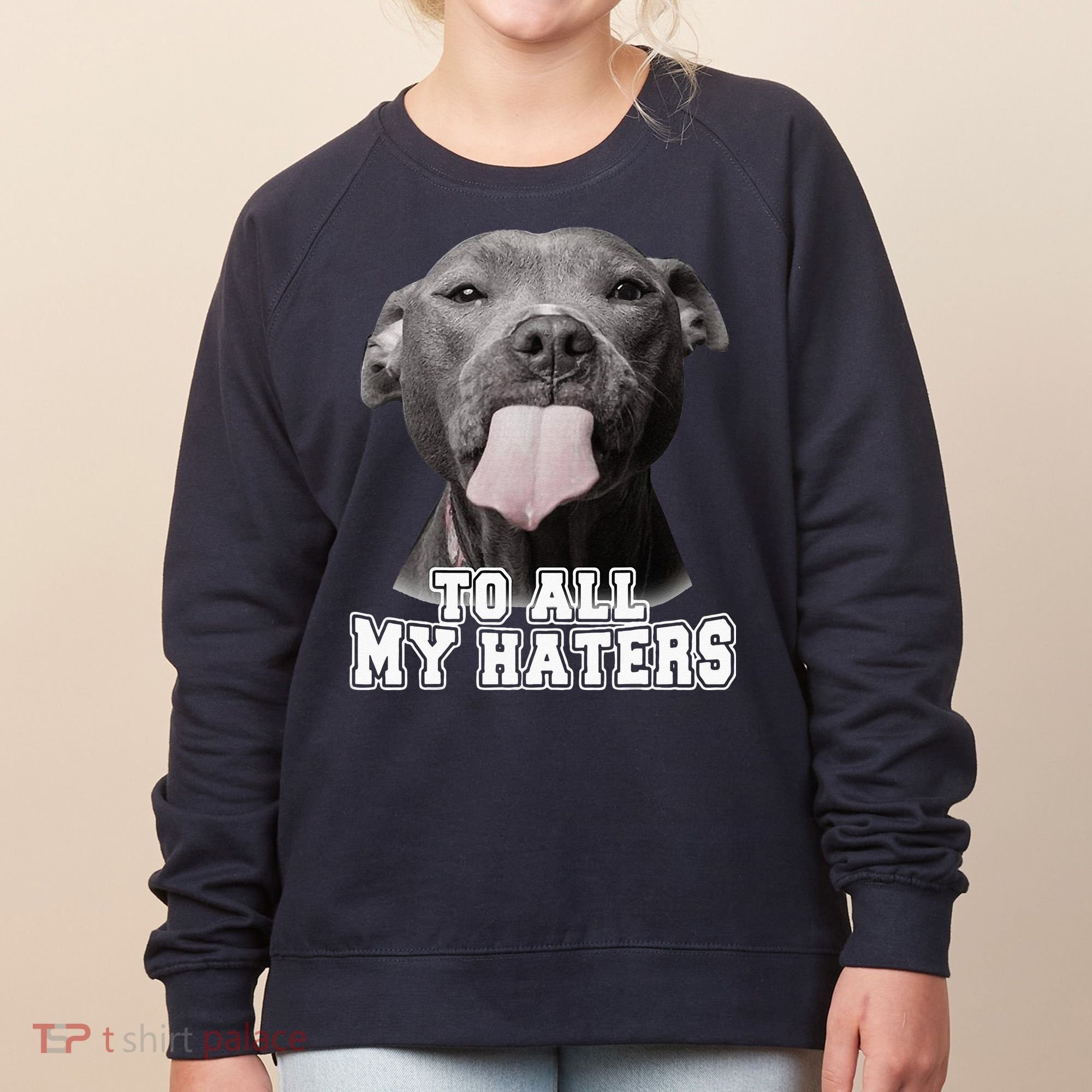 Funny Pitbull To All My Haters Pitbull Dog Lover Gift Women's Sweatshirt
